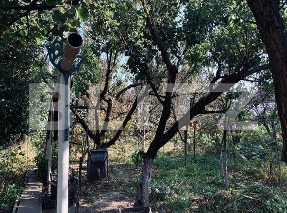 Casa de vânzare 3 camere Ghirodei - 140385CV | BLITZ Timișoara | Poza15