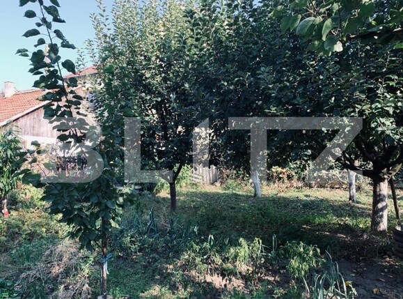 Casa de vânzare 3 camere Ghirodei - 140385CV | BLITZ Timișoara | Poza16