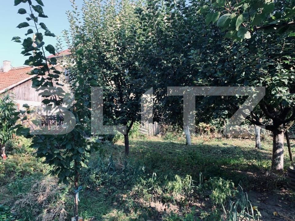 Casa de vânzare 3 camere Ghirodei - 140385CV | BLITZ Timișoara | Poza16