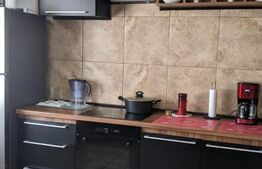 Casa individuala, 256 mp utili, Zona Freidorf