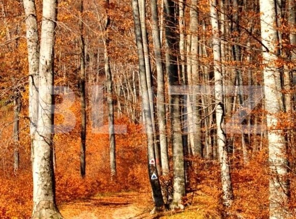 Teren de vânzare Exterior Sud - 140400TV | BLITZ Timișoara | Poza1