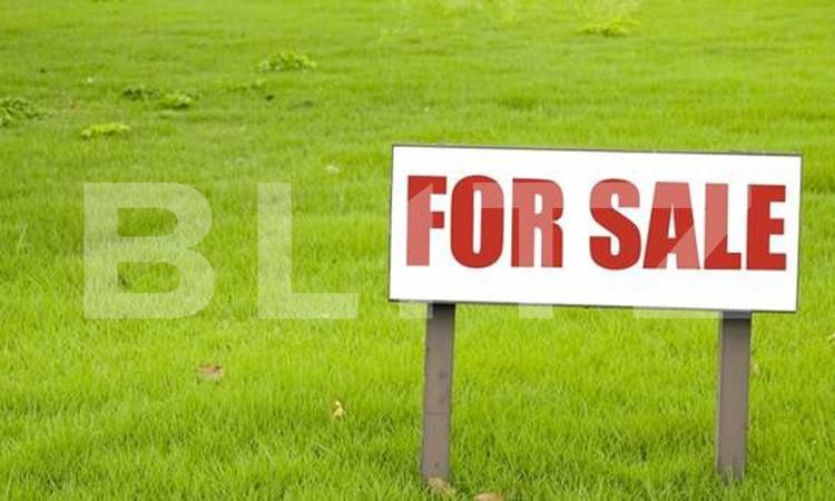 Teren de vânzare Lipovei - 140401TV | BLITZ Timișoara | Poza1