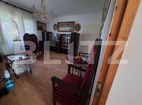 Casa de vânzare 4 camere Torontalului - 140404CV | BLITZ Timișoara | Poza2