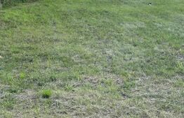 Teren pentru constructie, 708 mp, zona Buziasului