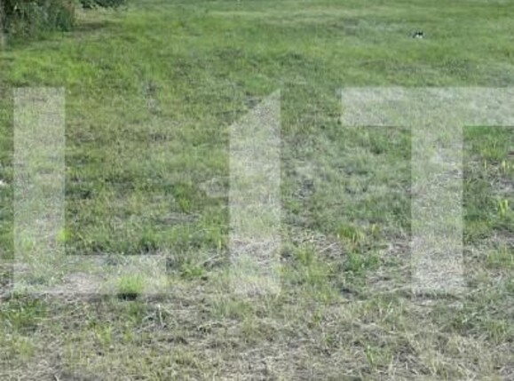 Teren de vânzare Buziasului - 140407TV | BLITZ Timișoara | Poza1