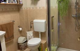 Casa individuala 7 camere, 228 mp utili, zona Lipovei