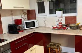 Casa individuala 7 camere, 228 mp utili, zona Lipovei