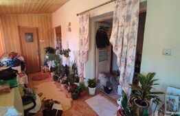 Casa 4 camere, 140 mp, teren, 1000 mp, zona Ghirodei