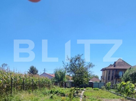 Casa de vânzare 4 camere Ghirodei - 140412CV | BLITZ Timișoara | Poza10