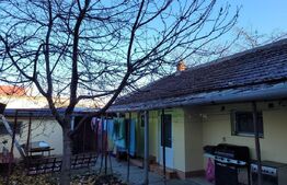 Casa 8 camere, 187 mp utili, 624 mp teren, Calea Bogdanestilor