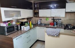 Casa 8 camere, 187 mp utili, 624 mp teren, Calea Bogdanestilor