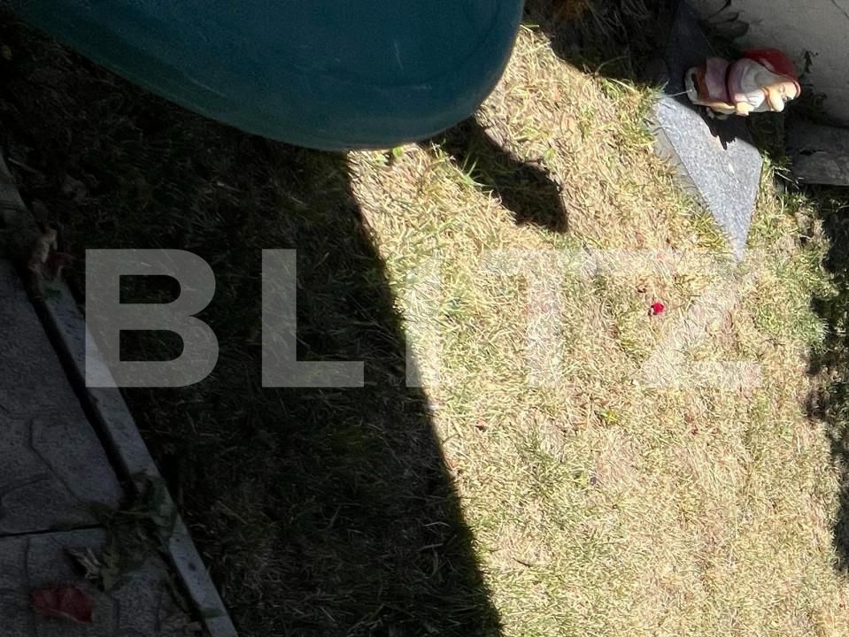 Casa de vânzare 8 camere Lipovei - 140414CV | BLITZ Timișoara | Poza2