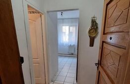 Apartament 1 camera, 24mp, cartier Buziasului