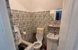 Apartament 1 camera, 24mp, cartier Buziasului