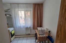 Apartament 1 camera, 24mp, cartier Buziasului