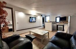 Casa individuala, 10 apartamente, 514 mp utili, Lipovei