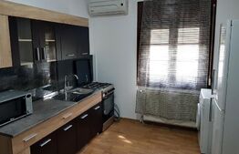 Casa individuala, 10 apartamente, 514 mp utili, Lipovei