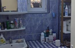 Casa la curte comuna, 75 mp utili, 114 mp teren, Zona Lunei