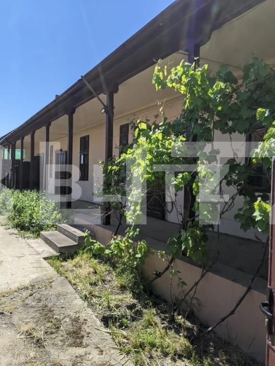 Casa de vânzare 3 camere Freidorf - 140419CV | BLITZ Timișoara | Poza1