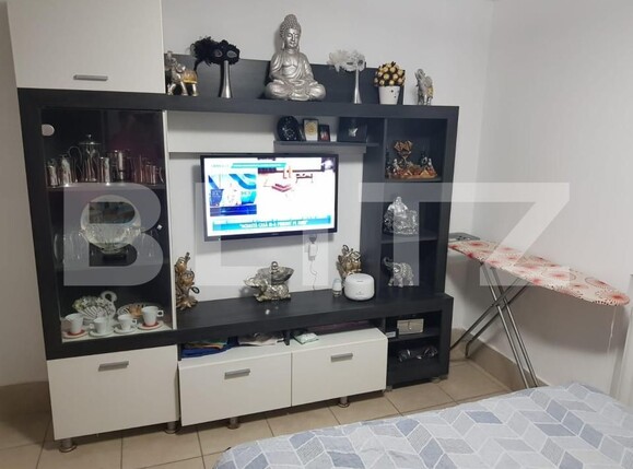 Casa de vânzare 4 camere Girocului - 140422CV | BLITZ Timișoara | Poza13