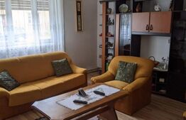 Casa individuala, 200 mp utili, 302 mp teren, Zona Sagului