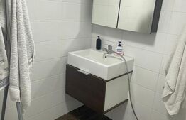 Spațiu Comercial cu Service Auto, Vulcanizare și Vânzare de Anvelope!