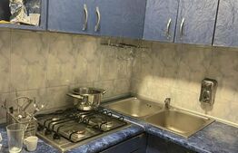 Spațiu Comercial cu Service Auto, Vulcanizare și Vânzare de Anvelope!