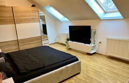 Casa la curte comuna 103 mp, teren 274 mp, zona Balcescu!