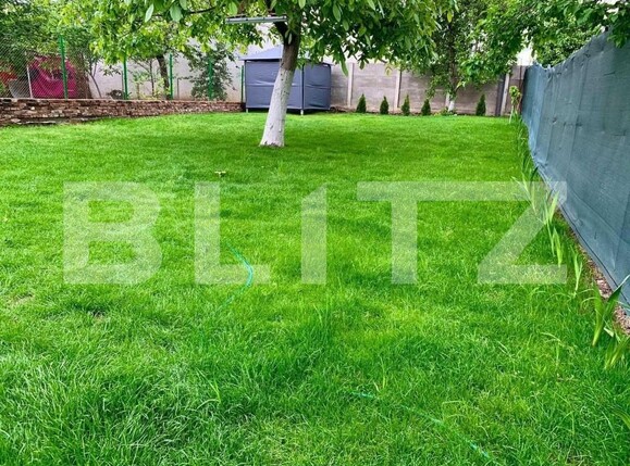 Casa de vânzare 4 camere Balcescu - 140427CV | BLITZ Timișoara | Poza8