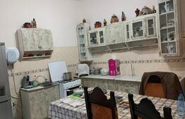 Casa D+P, suprafata utila 160 mp, zona Fabric