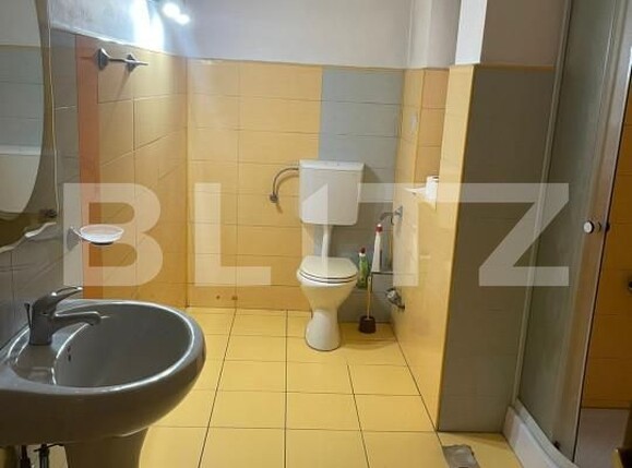 Spațiu birouri de vânzare Brancoveanu - 140434SVB | BLITZ Timișoara | Poza9