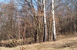 Teren intravilan de vanzare, 901 mp, in Valiug!