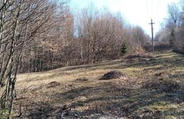 Teren intravilan de vanzare, 901 mp, in Valiug!