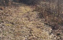 Teren intravilan de vanzare, 901 mp, in Valiug!