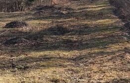 Teren intravilan de vanzare, 901 mp, in Valiug!