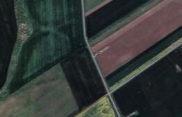 Teren agricol, 88.500 mp, la pretul de 1,2 euro! Barateaz!