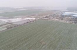 Oportunitate! Teren extravilan, 50000 mp, Parta!