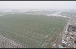 Oportunitate! Teren extravilan, 50000 mp, Parta!