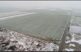 Oportunitate! Teren extravilan, 50000 mp, Parta!