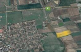 Teren de vanzare extravilan, 10.000 mp, Recas!