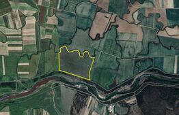 Teren de vânzare Remetea Mare - 179992TV | BLITZ Timișoara | Poza4