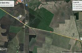 Teren de 5,3 ha pe DN6 , Timisoara - Cenad