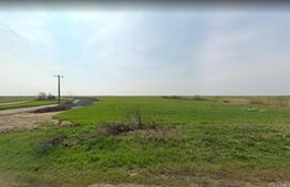 Teren de 5,3 ha pe DN6 , Timisoara - Cenad