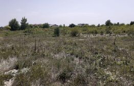 Teren intravilan în Calea Urseni cu utilitati