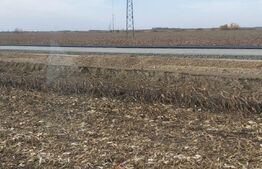 Teren extravilan de 8 ha în C. Șagului la viitoarea centură