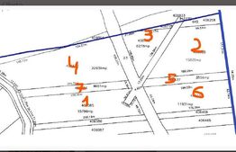 Teren extravilan de 8 ha în C. Șagului la viitoarea centură