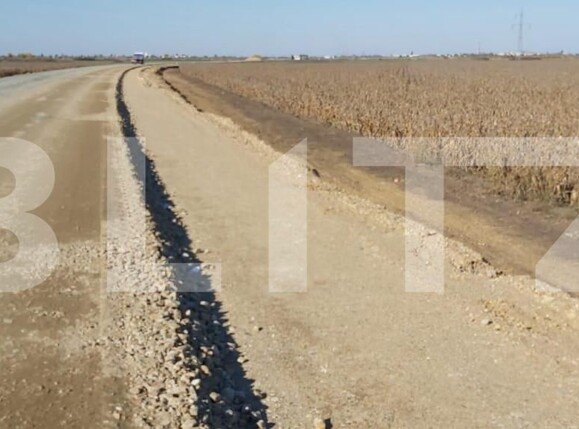 Teren de vânzare Sagului - 140456TV | BLITZ Timișoara | Poza4