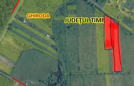 Teren extravilan 6.500 mp, Giarmata Vii, langa poligon