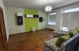 Clădire P+E+M de 563 mp utili, 841 mp teren, Fabric