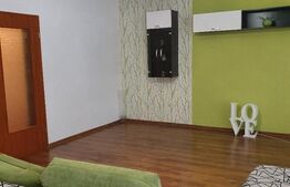 Clădire P+E+M de 563 mp utili, 841 mp teren, Fabric